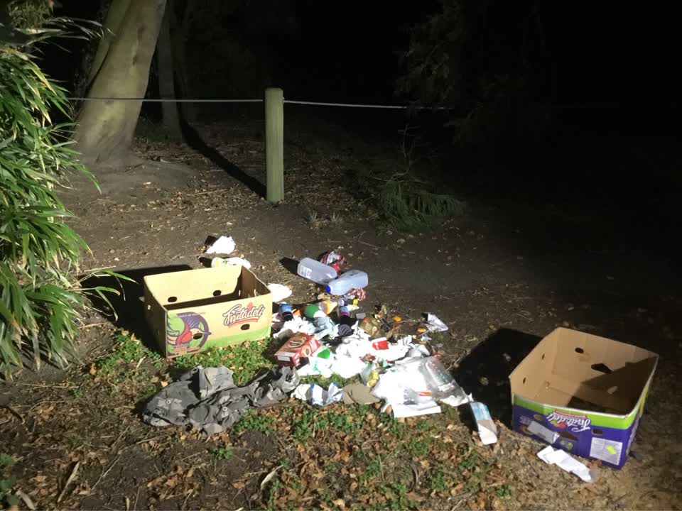 The photograph attached to this rubbish/recycling report