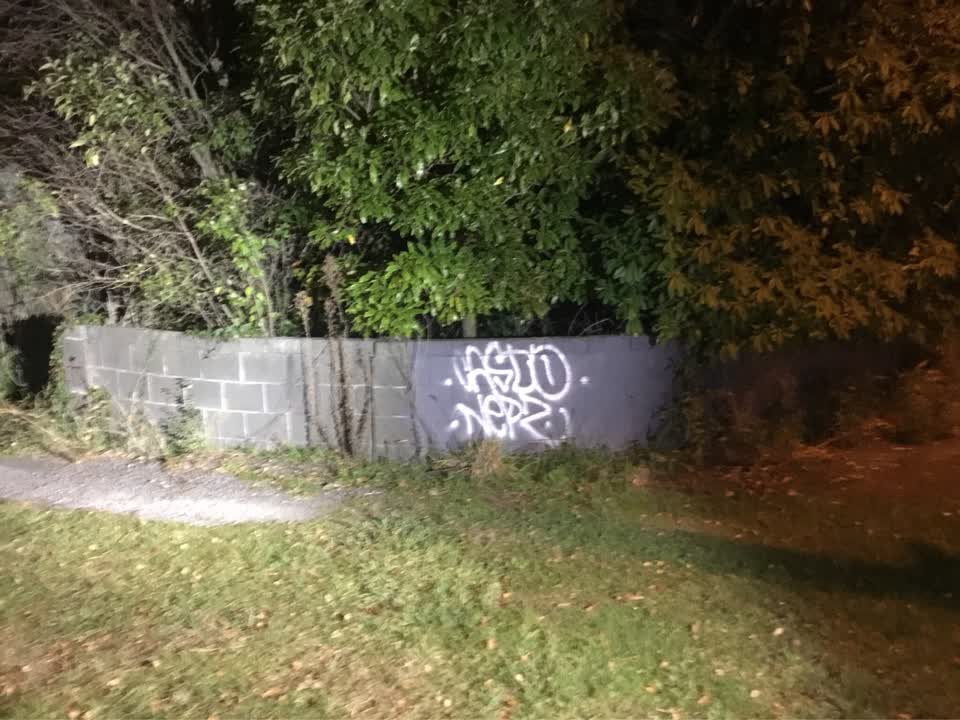 The photograph attached to this graffiti report