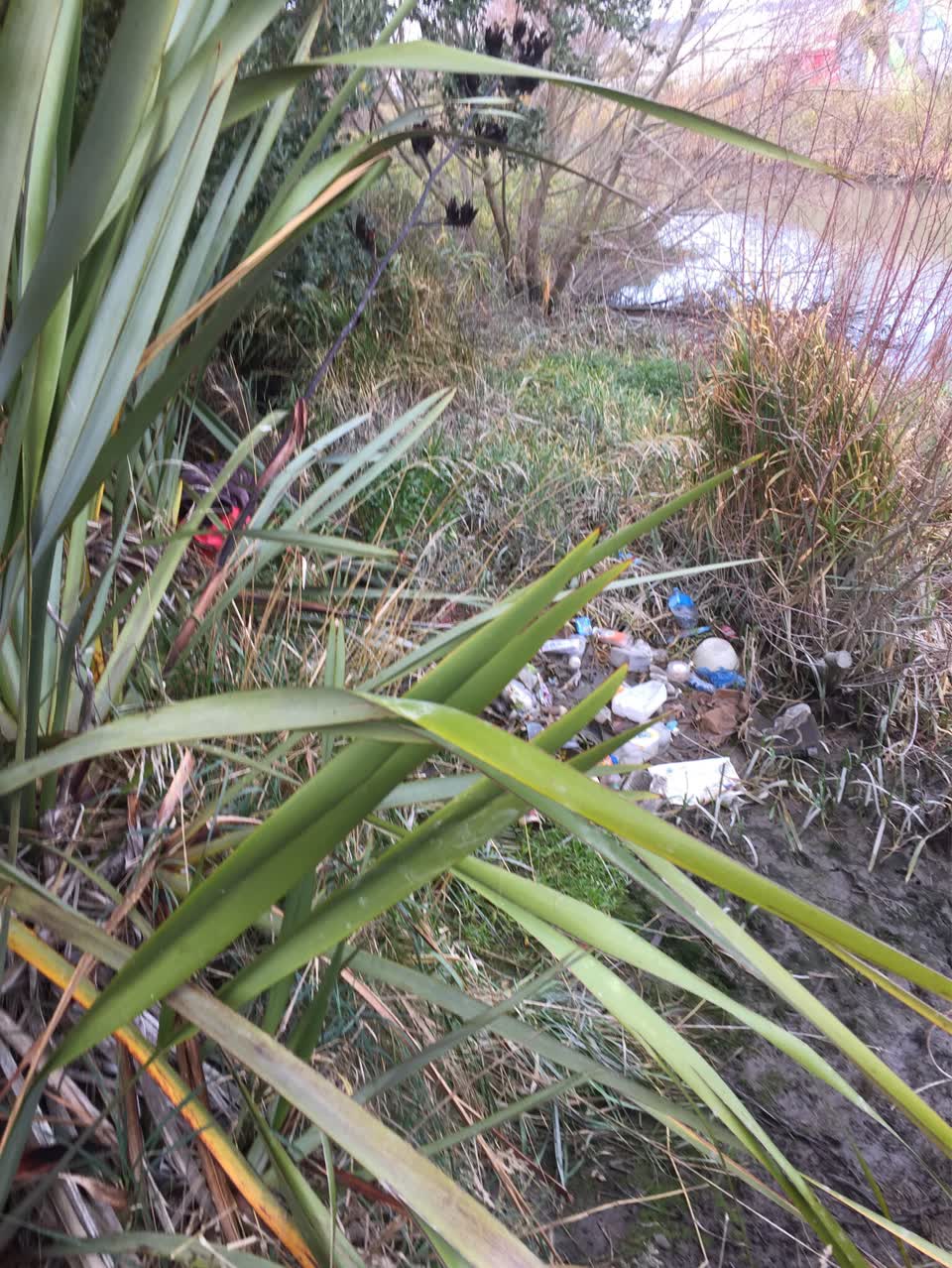 The photograph attached to this parks report