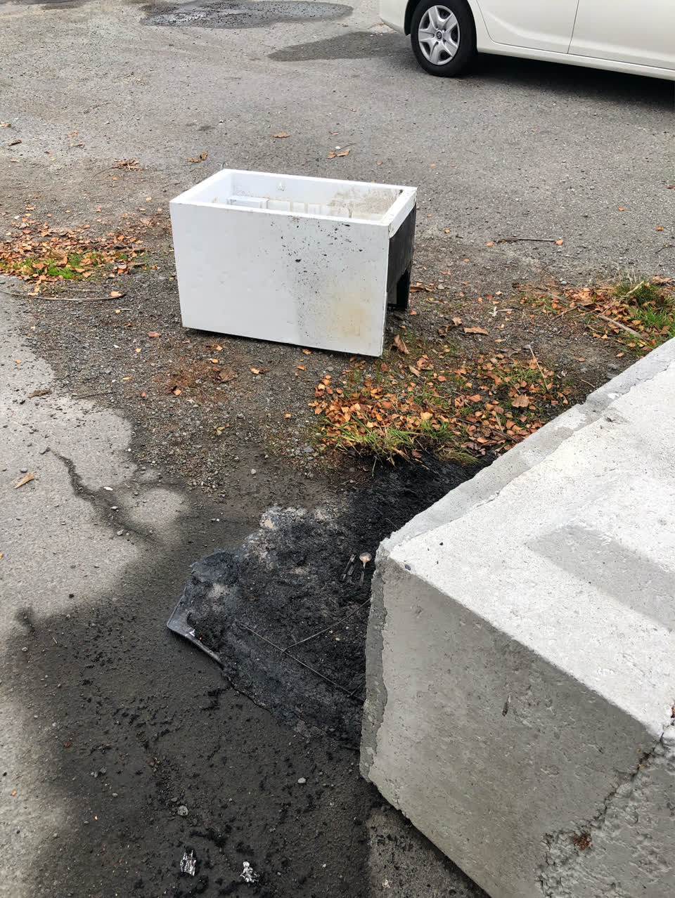 The photograph attached to this rubbish/recycling report