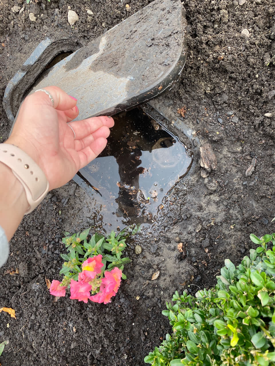 The photograph attached to this flooding report