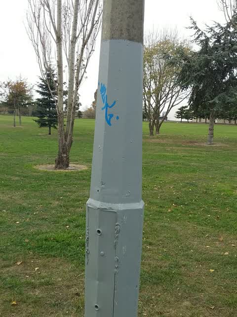 Graffiti — a report photo