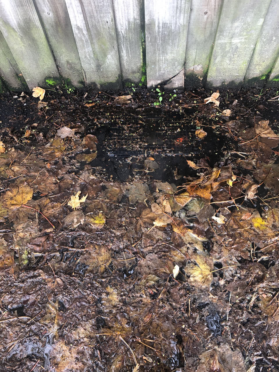 The photograph attached to this water supply report