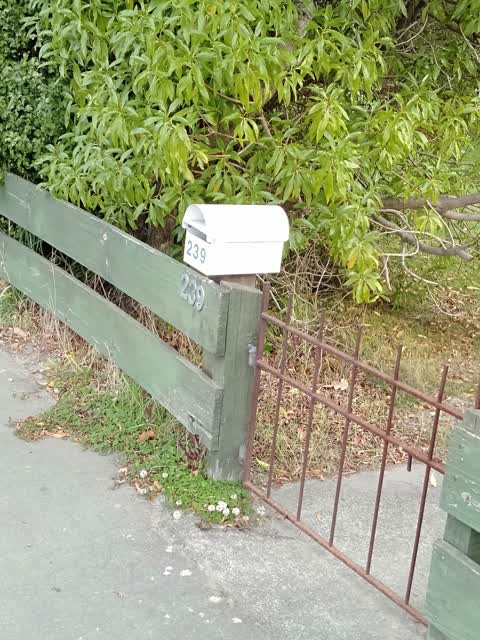 Rubbish/Recycling, a report photo