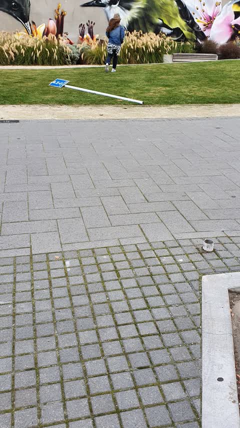 Roading/Streets, a report photo