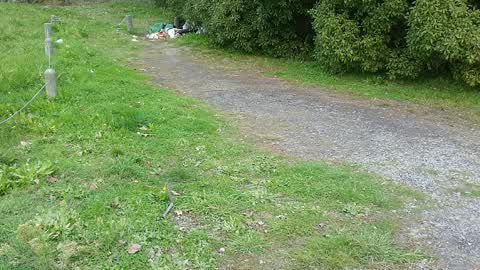 Rubbish/Recycling, a report photo