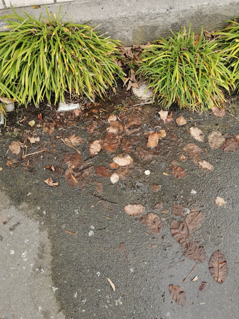 The photograph attached to this water supply report