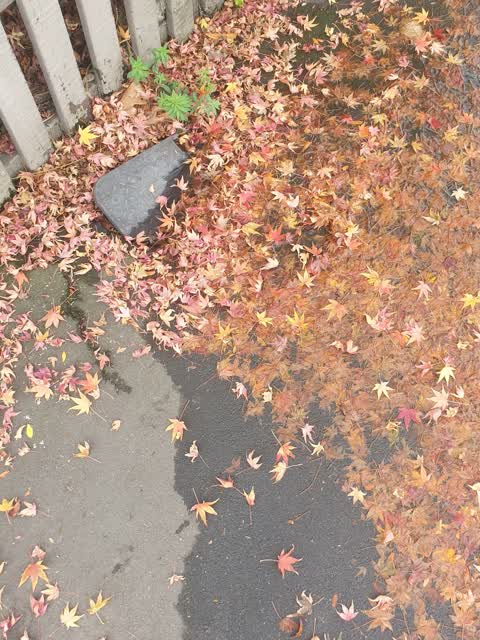 Flooding, a report photo