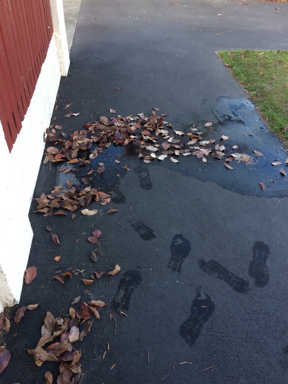 The photograph attached to this water supply report