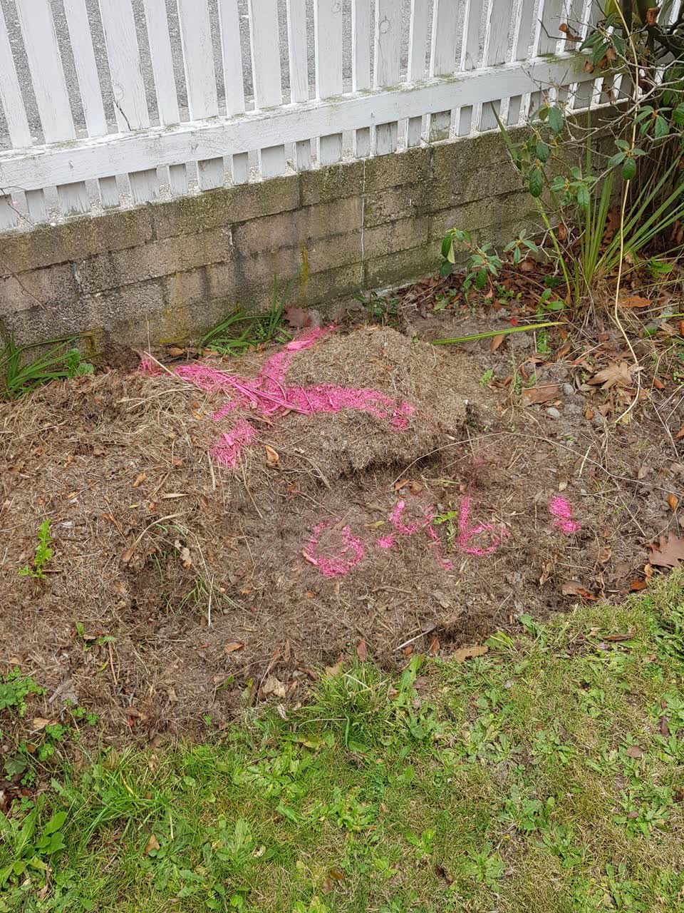 The photograph attached to this wastewater/stormwater report