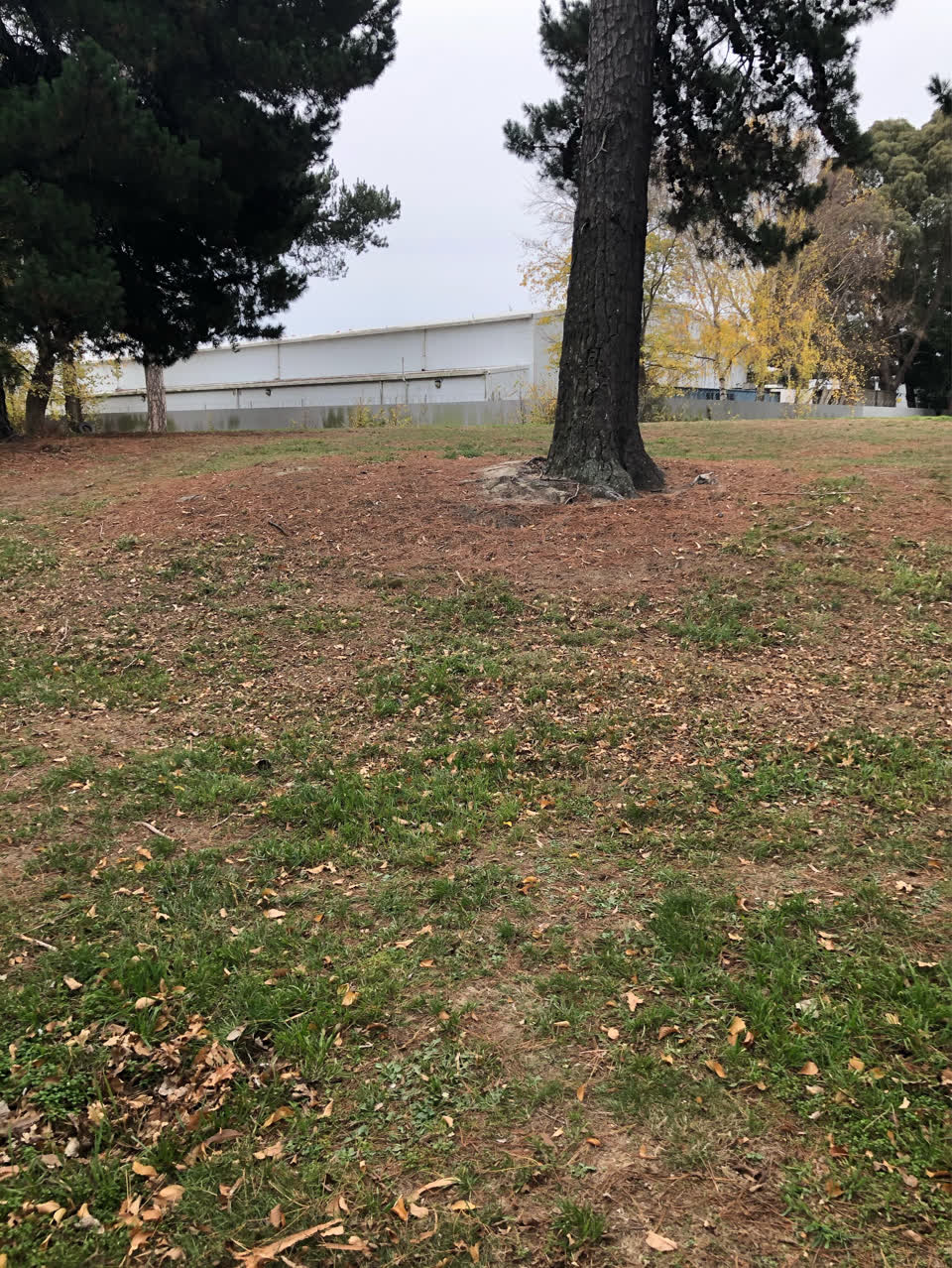 The photograph attached to this parks report