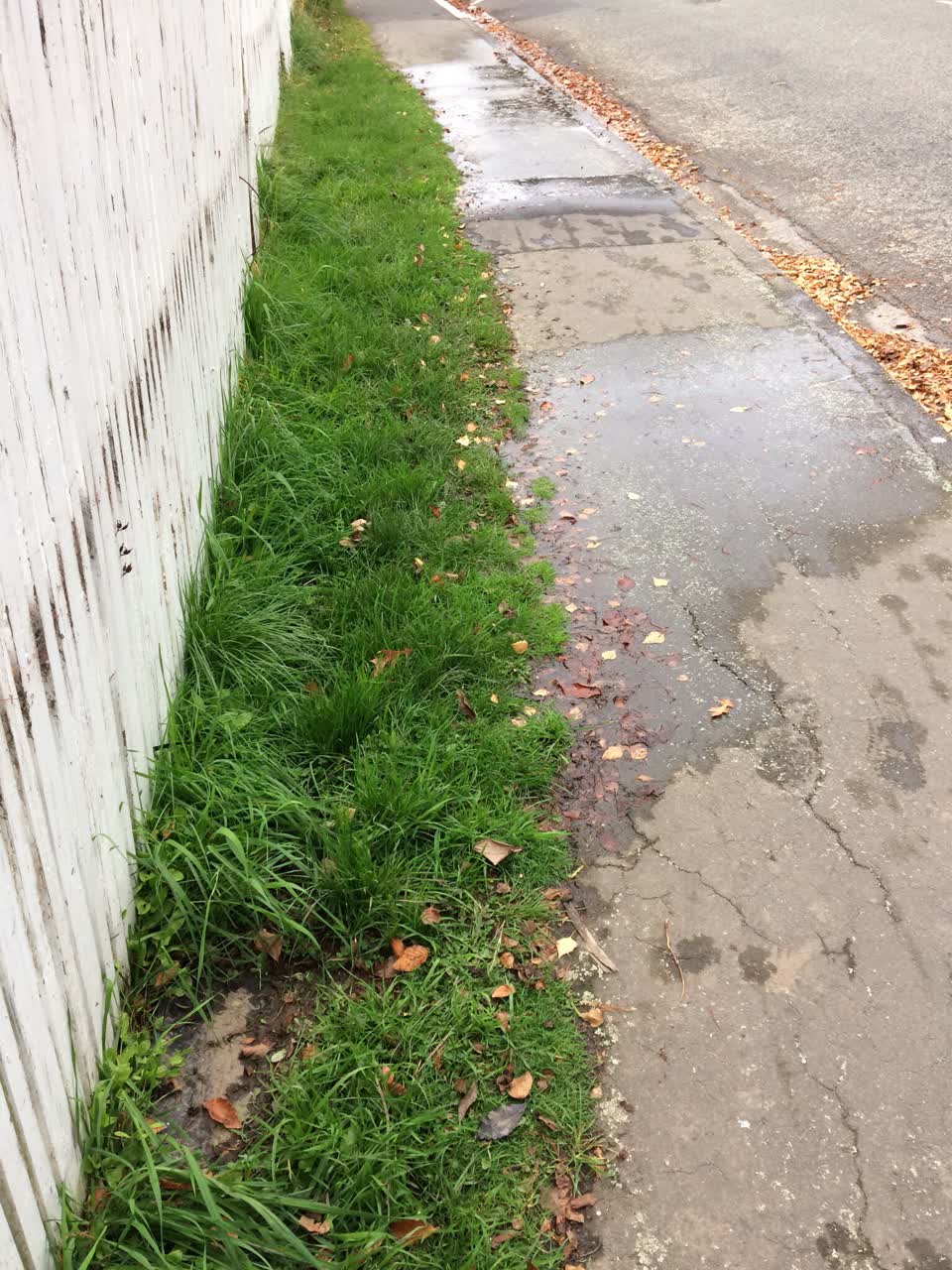 The photograph attached to this water supply report