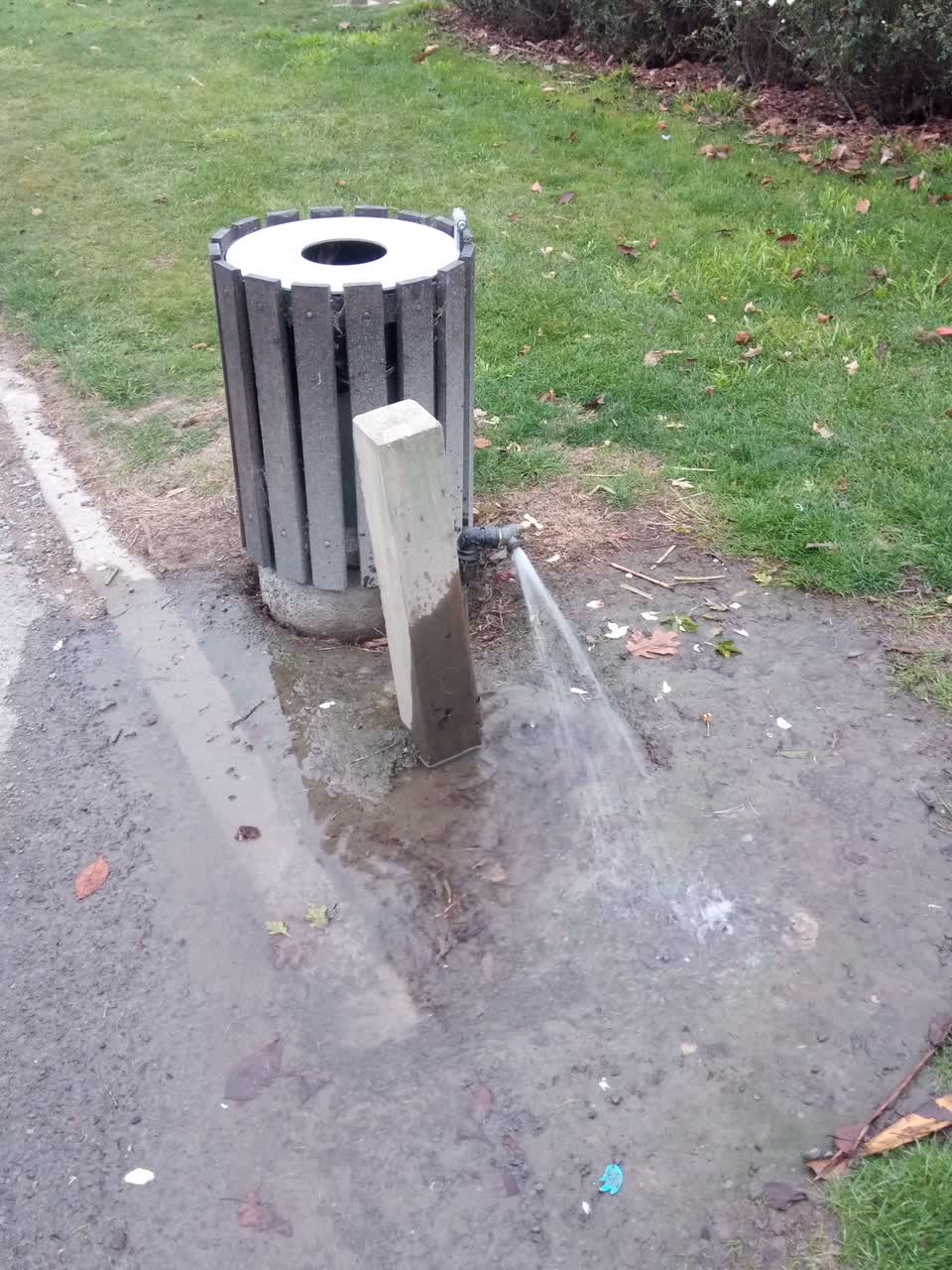 The photograph attached to this water supply report