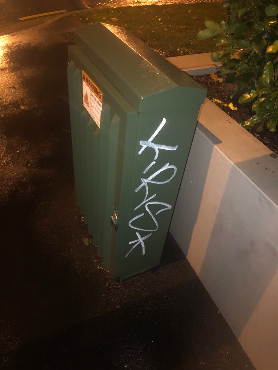 The photograph attached to this graffiti report