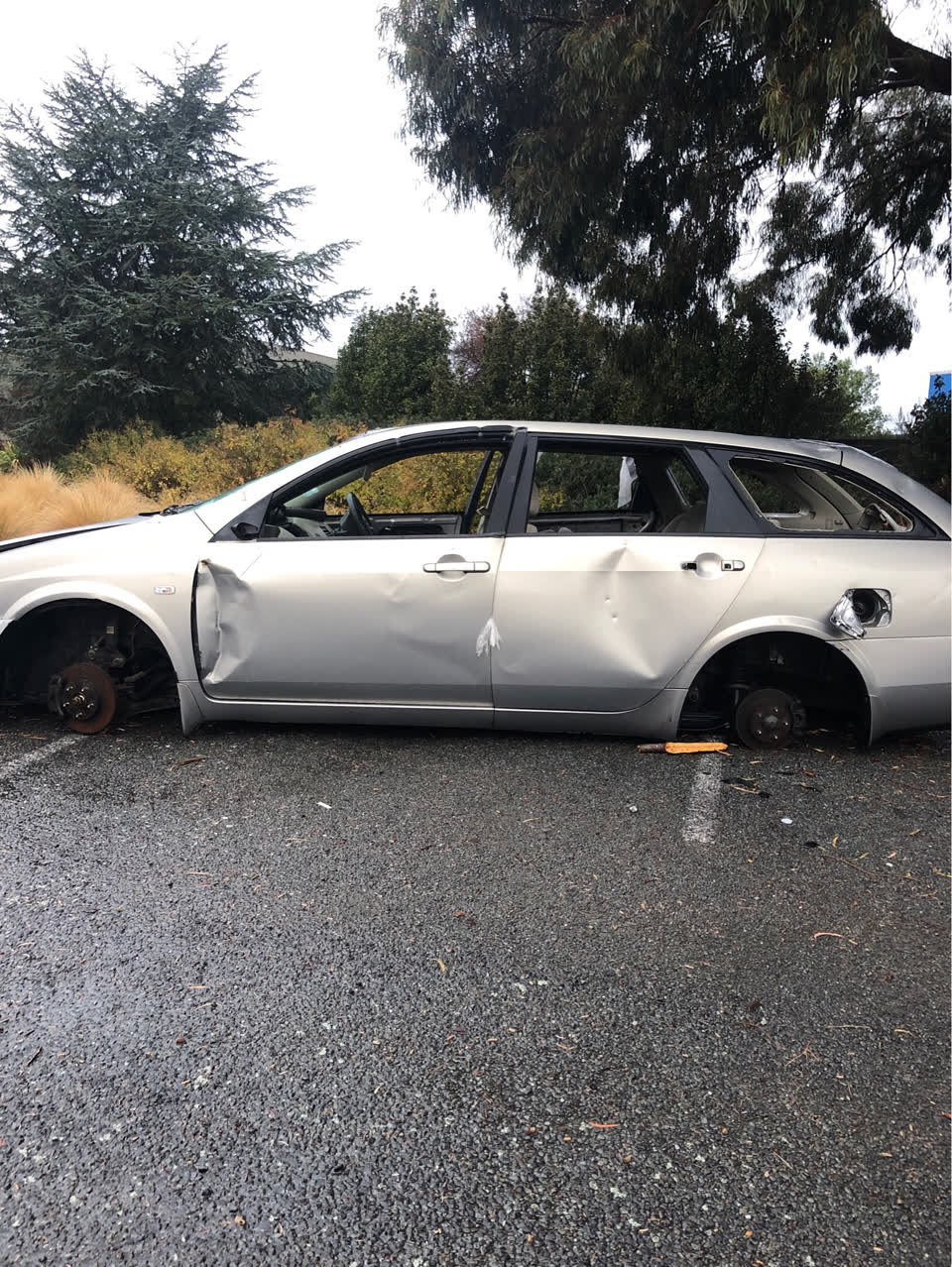 The photograph attached to this parks report