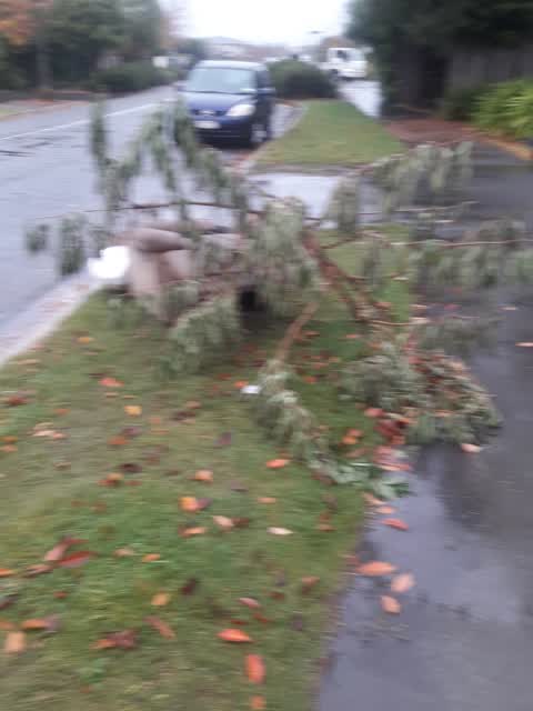 Parks, a report photo