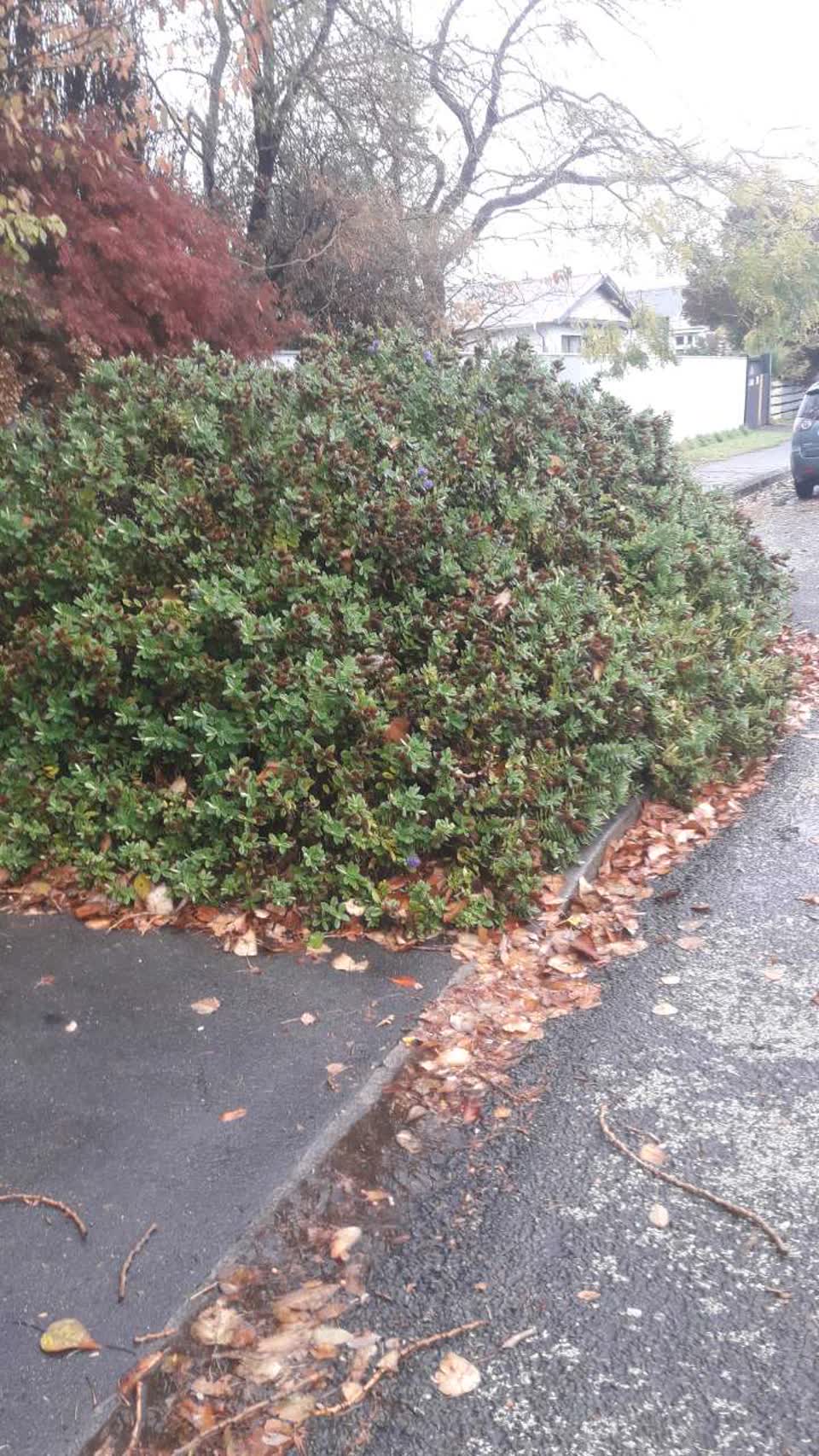 The photograph attached to this roading/streets report