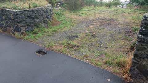 Water Supply, a report photo