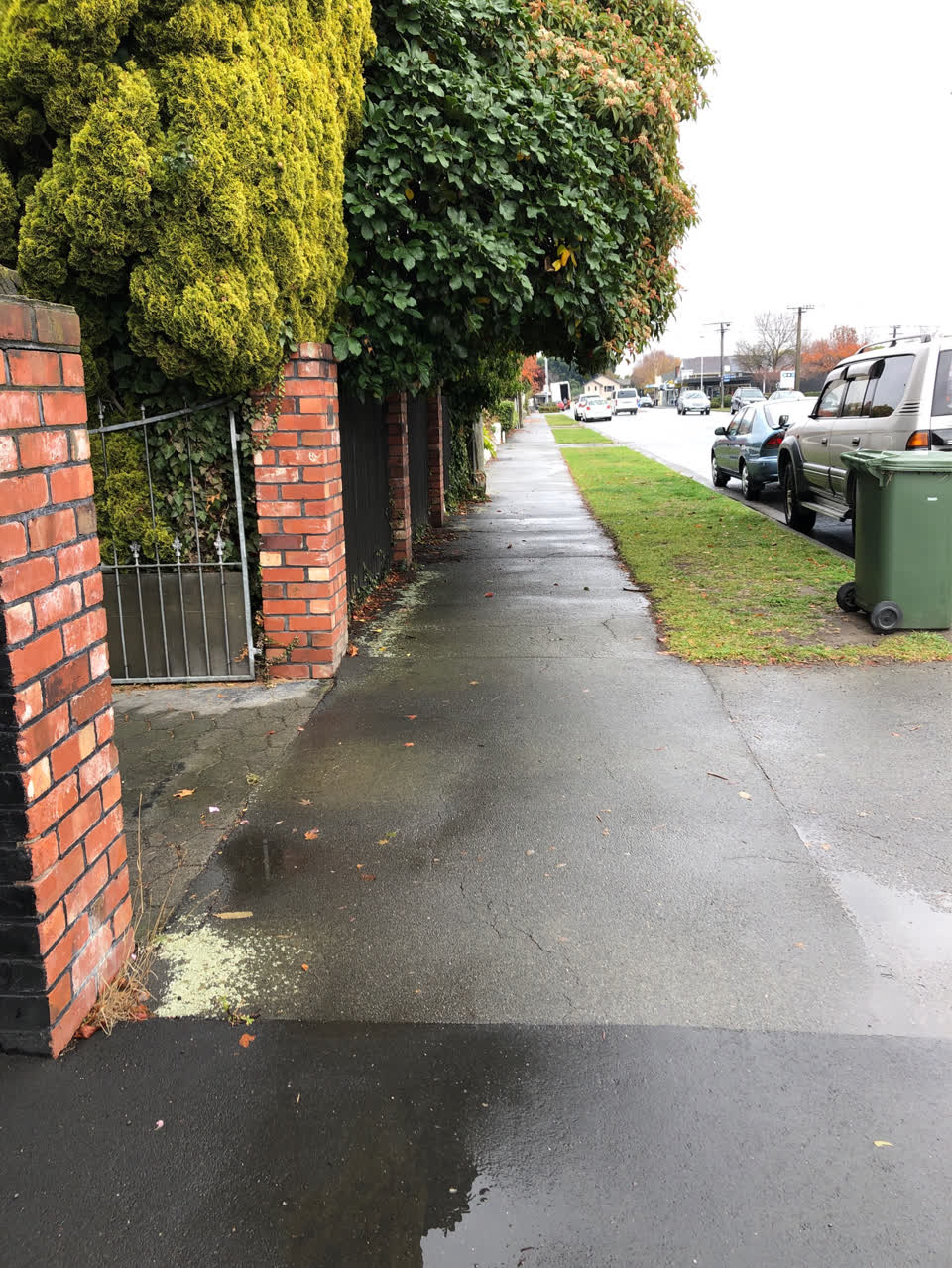 The photograph attached to this roading/streets report