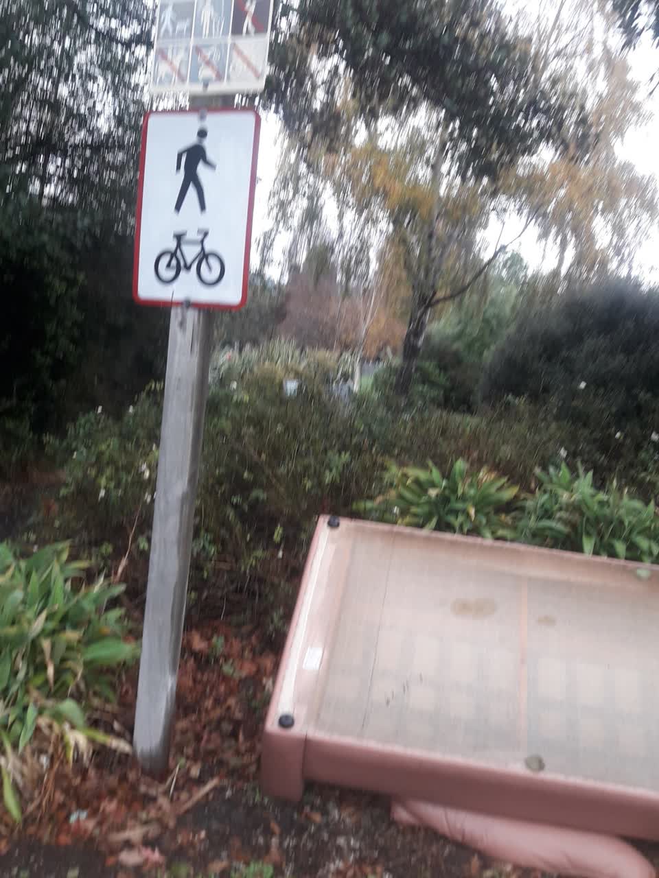 The photograph attached to this parks report