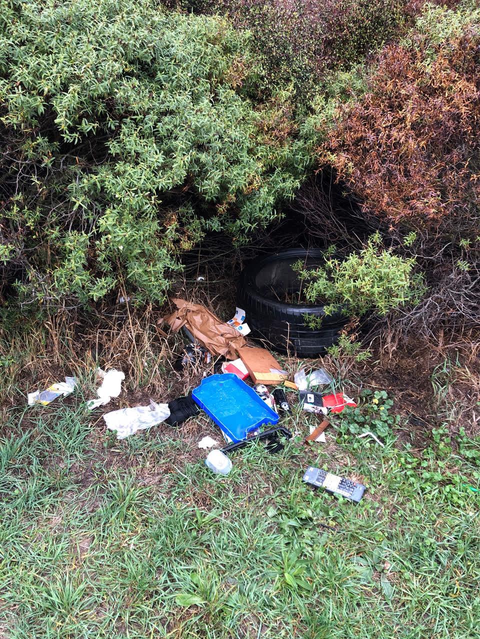 The photograph attached to this rubbish/recycling report