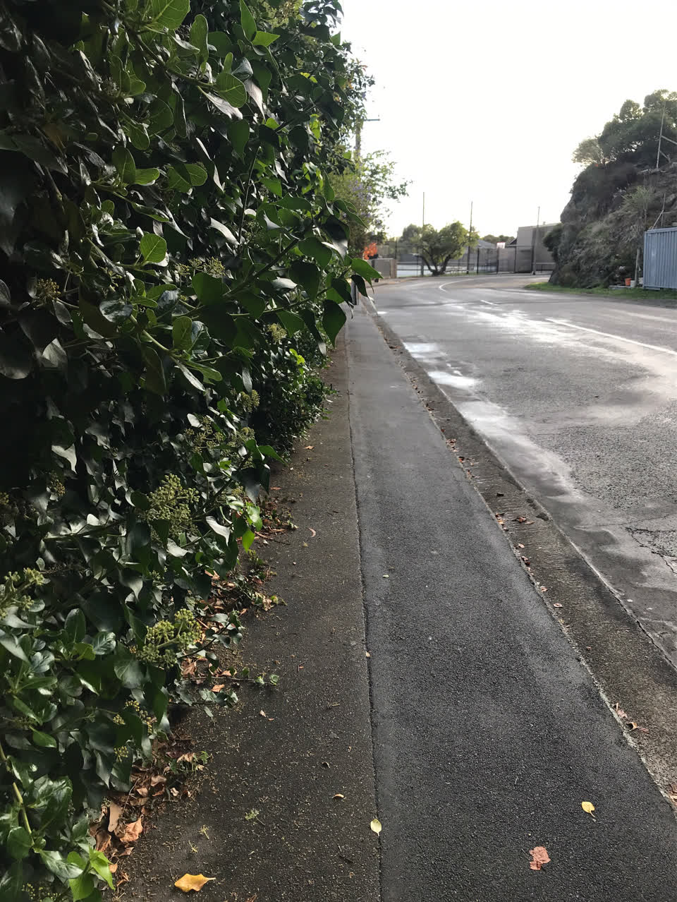 The photograph attached to this roading/streets report