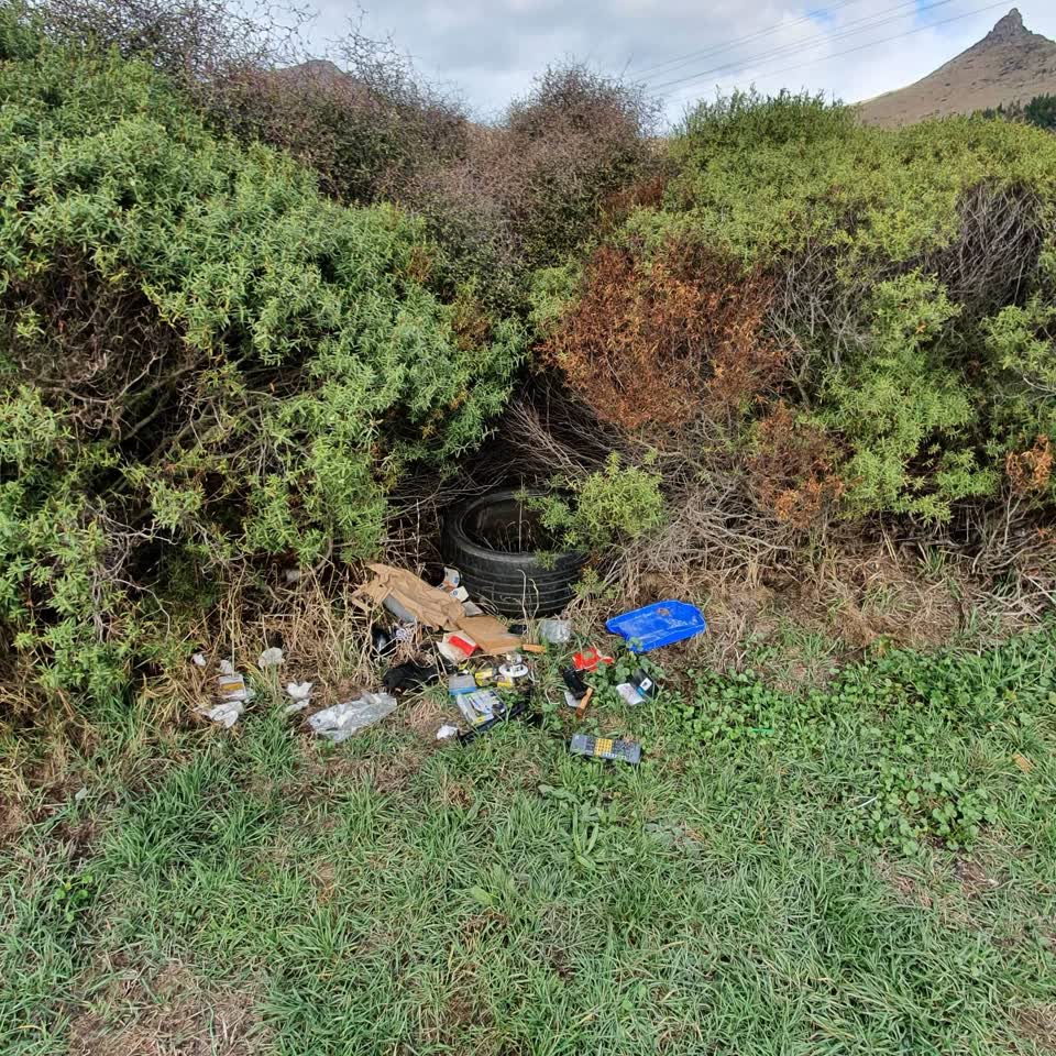 The photograph attached to this parks report