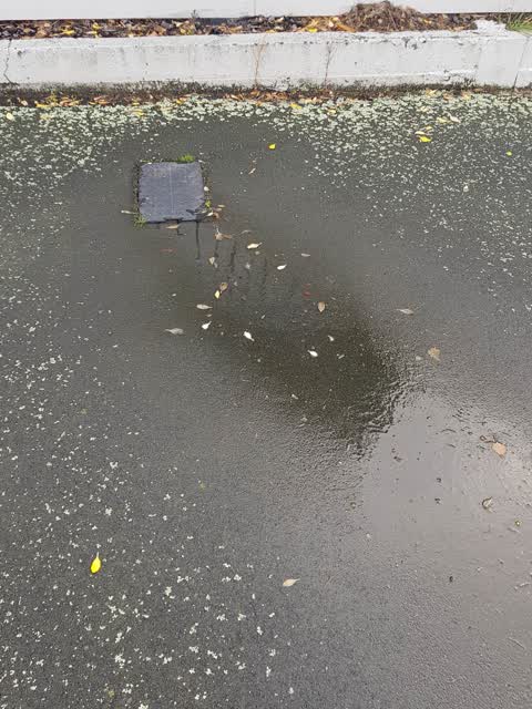 Flooding, a report photo