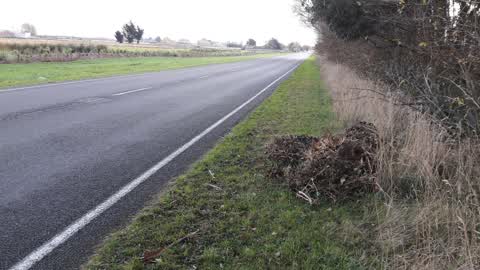 Roading/Streets, a report photo