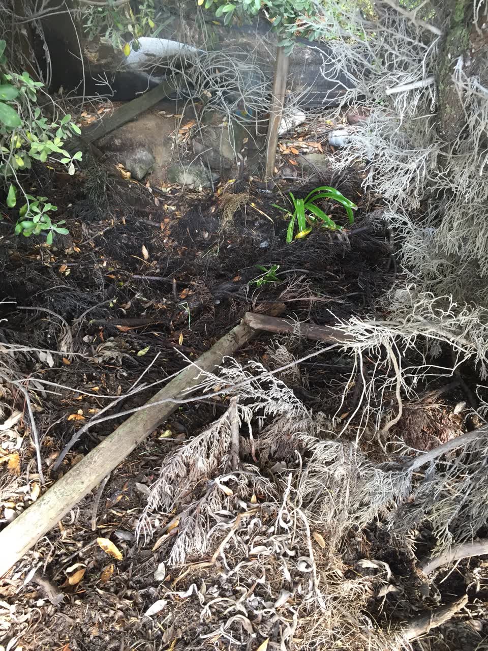The photograph attached to this flooding report
