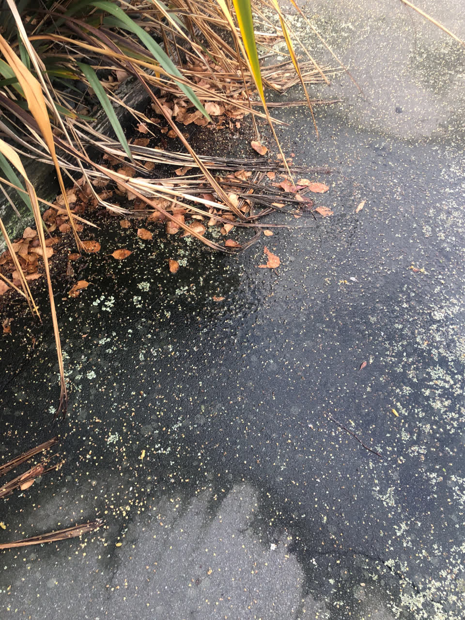 The photograph attached to this water supply report
