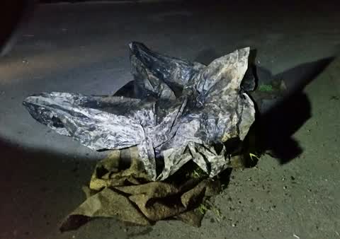 Rubbish/Recycling, a report photo