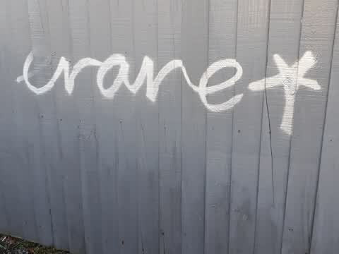 Graffiti, a report photo