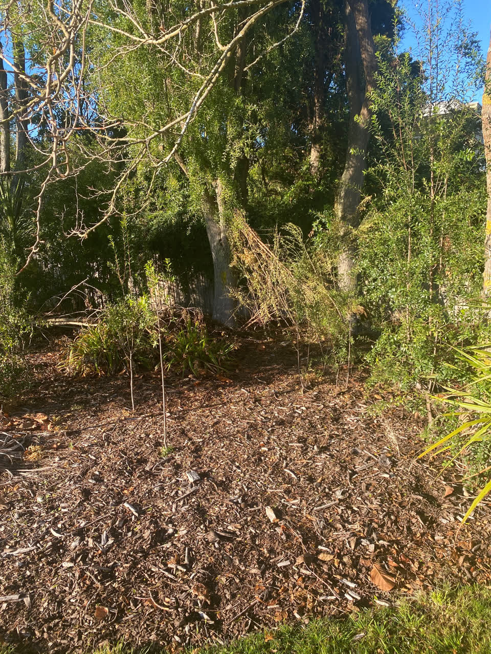 The photograph attached to this parks report