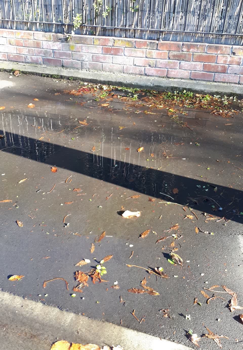 The photograph attached to this water supply report