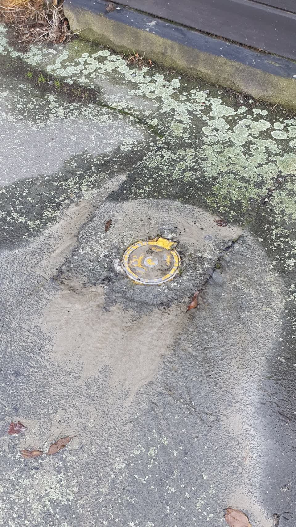 The photograph attached to this water supply report
