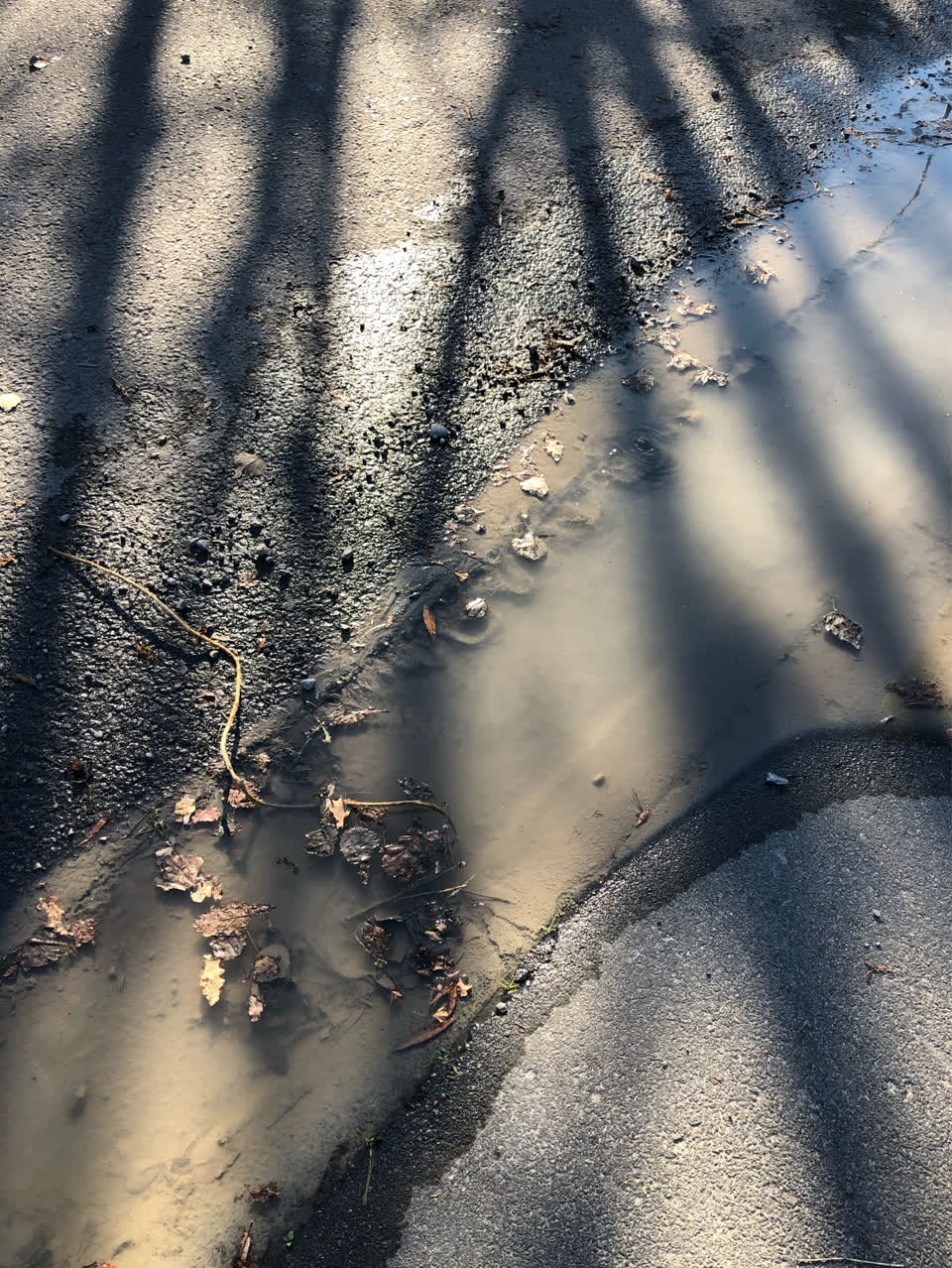 The photograph attached to this water supply report