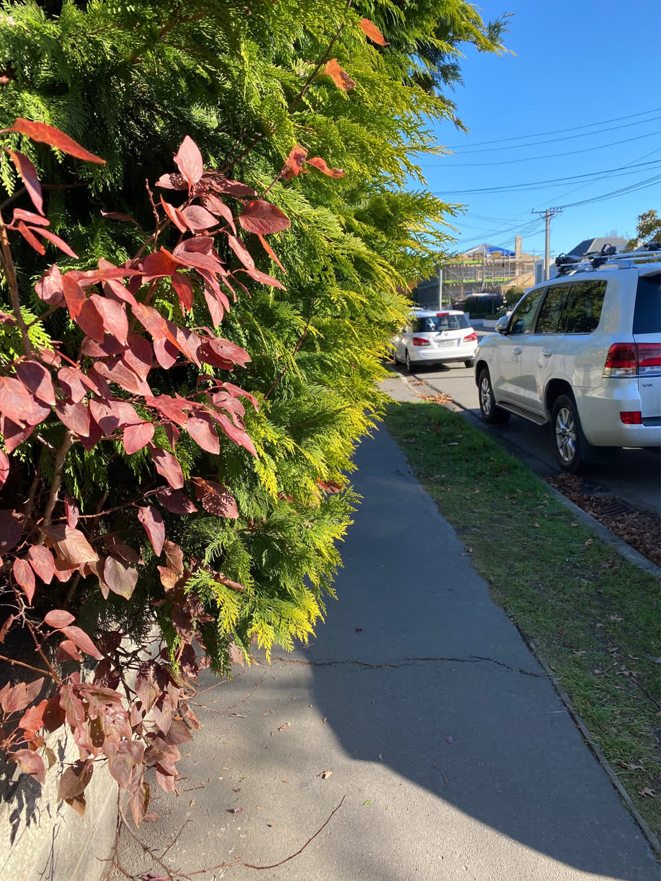 The photograph attached to this roading/streets report