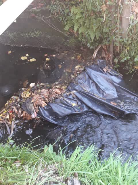 Parks, a report photo