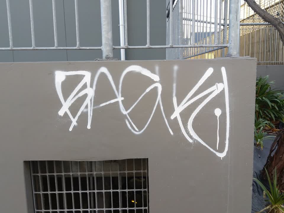 The photograph attached to this graffiti report