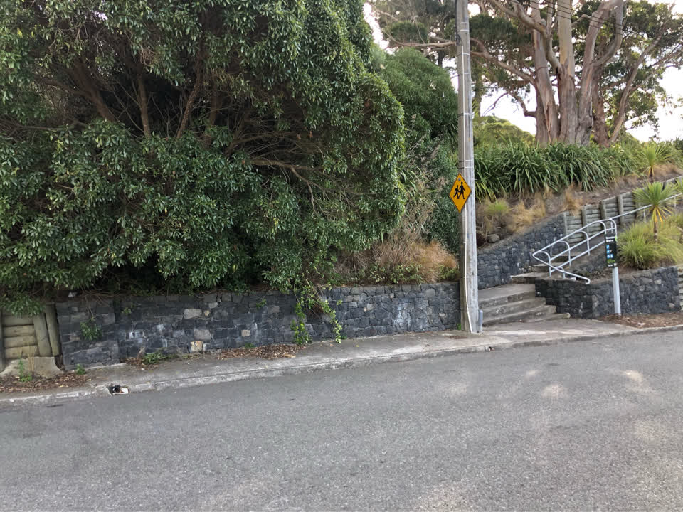 The photograph attached to this parks report