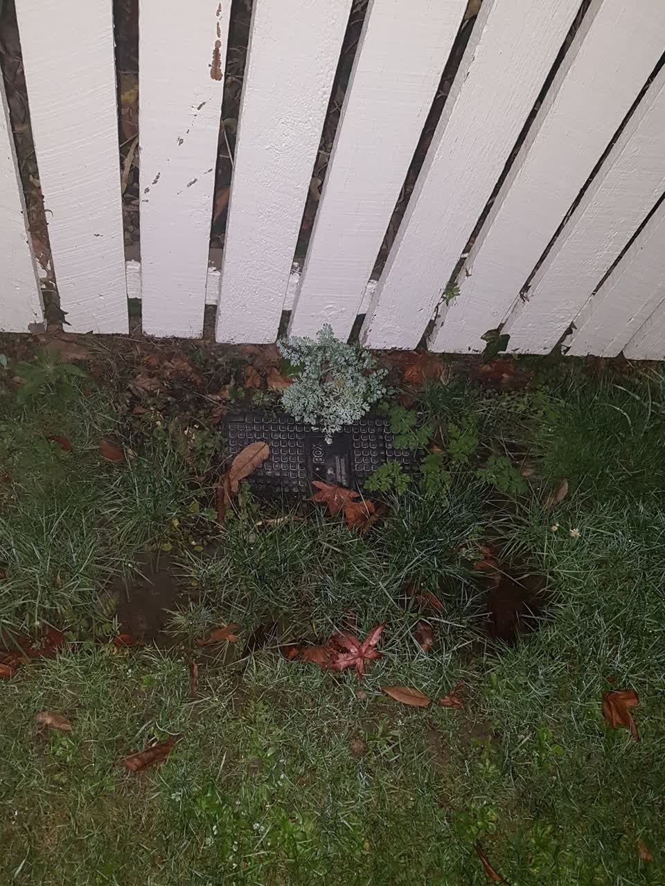 The photograph attached to this water supply report