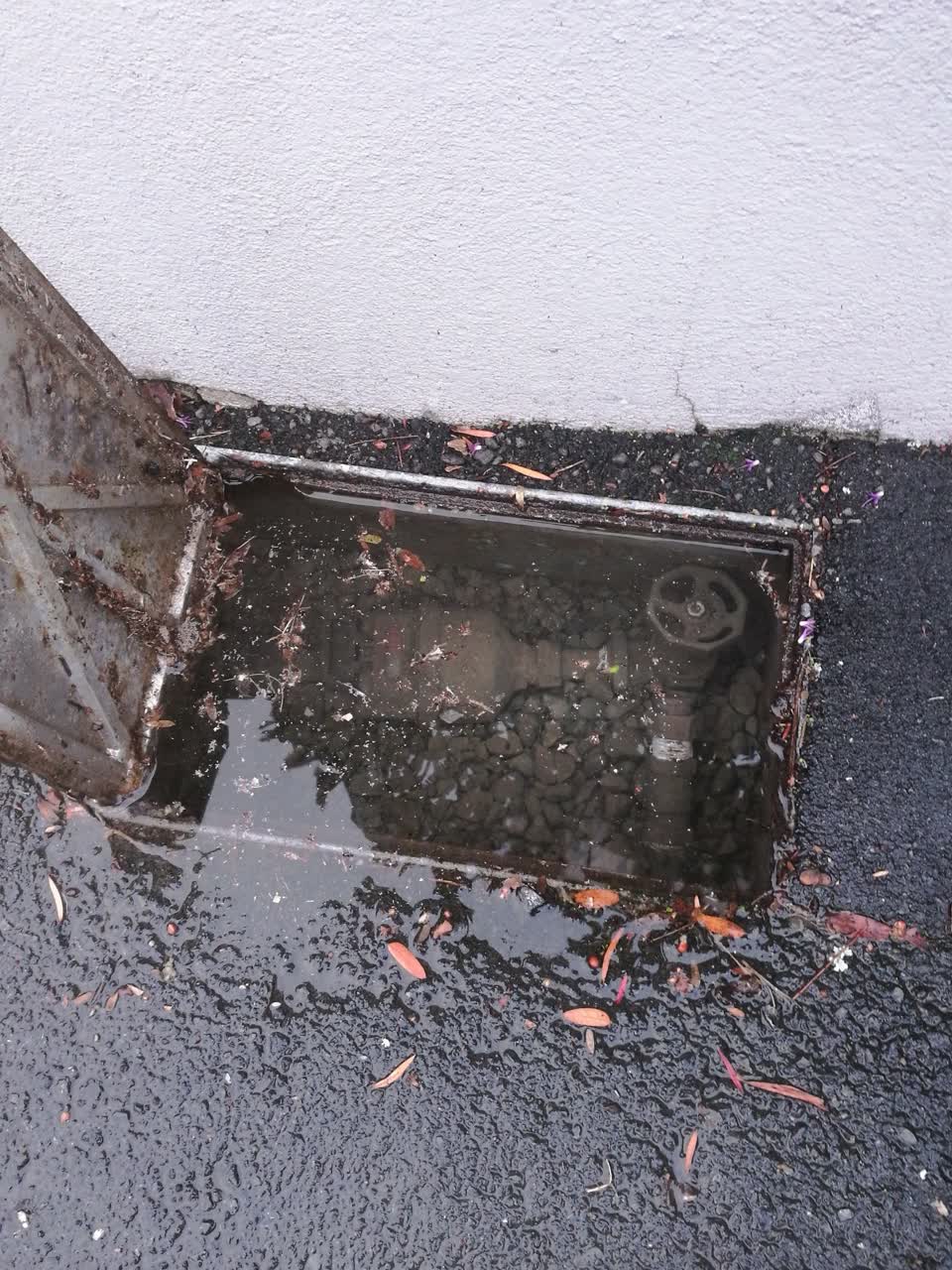 The photograph attached to this water supply report