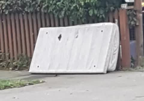 Rubbish/Recycling, a report photo