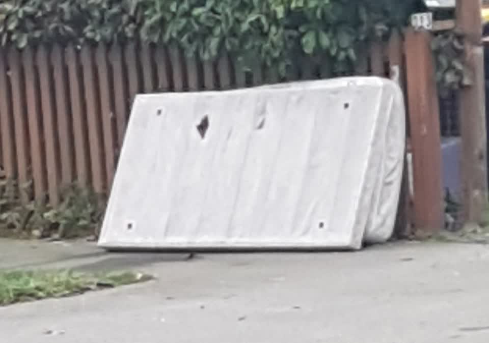 The photograph attached to this rubbish/recycling report