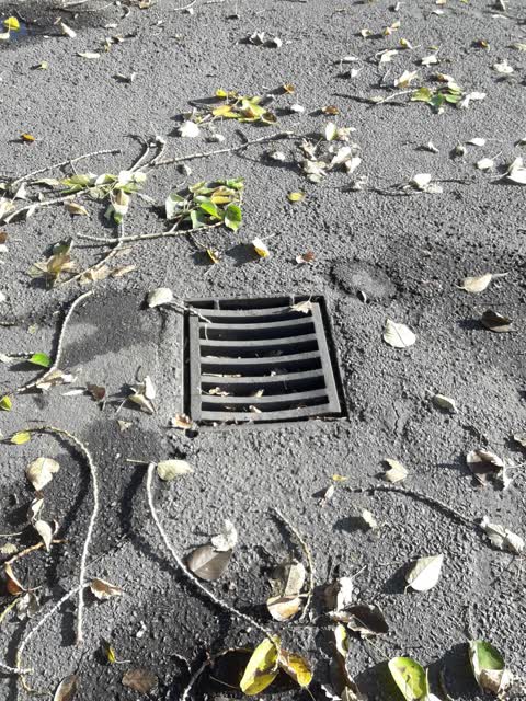 Wastewater/Stormwater — a report photo