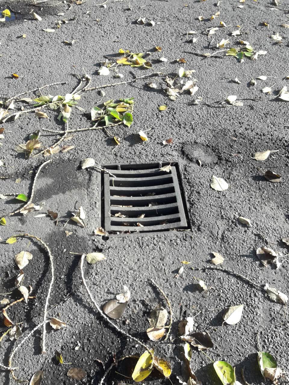 The photograph attached to this wastewater/stormwater report