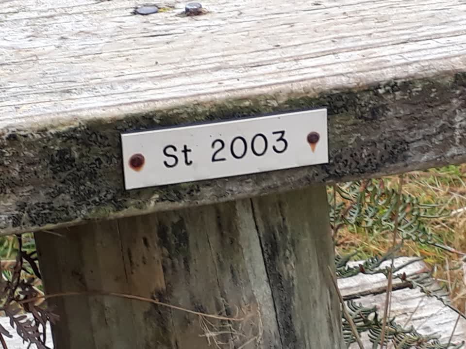 The photograph attached to this parks report