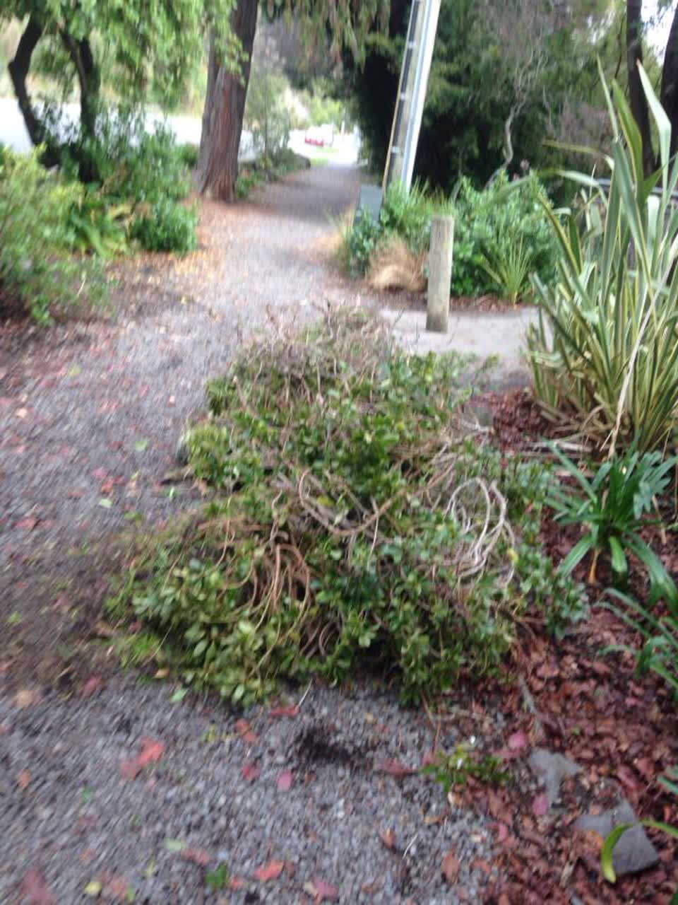 The photograph attached to this parks report