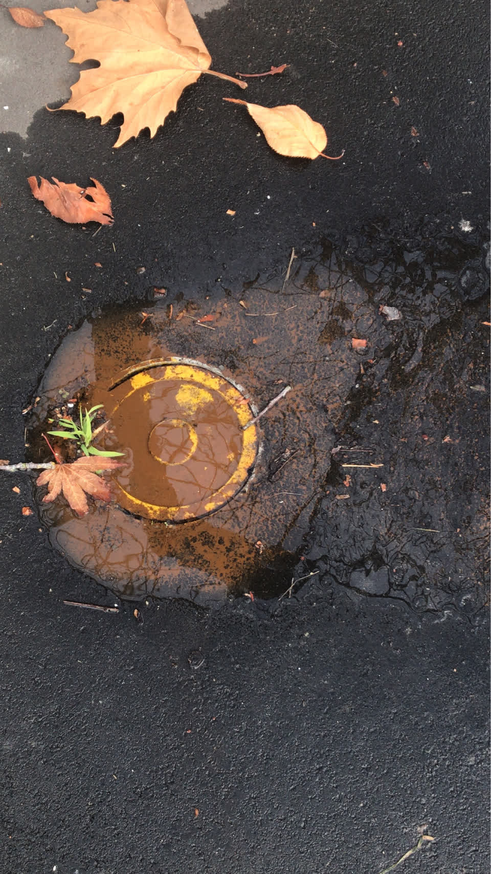 The photograph attached to this water supply report